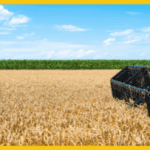 Como a Serrametal ajudou uma empresa agrícola a economizar tempo